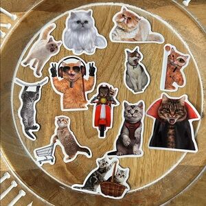 💎8/$25 Cat Sticker Set x12 for crazy cat lady or cat lover for water bottle, etc